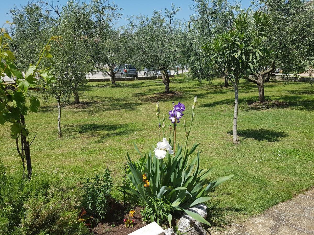 Rooms Siesta Porec Bagian luar foto