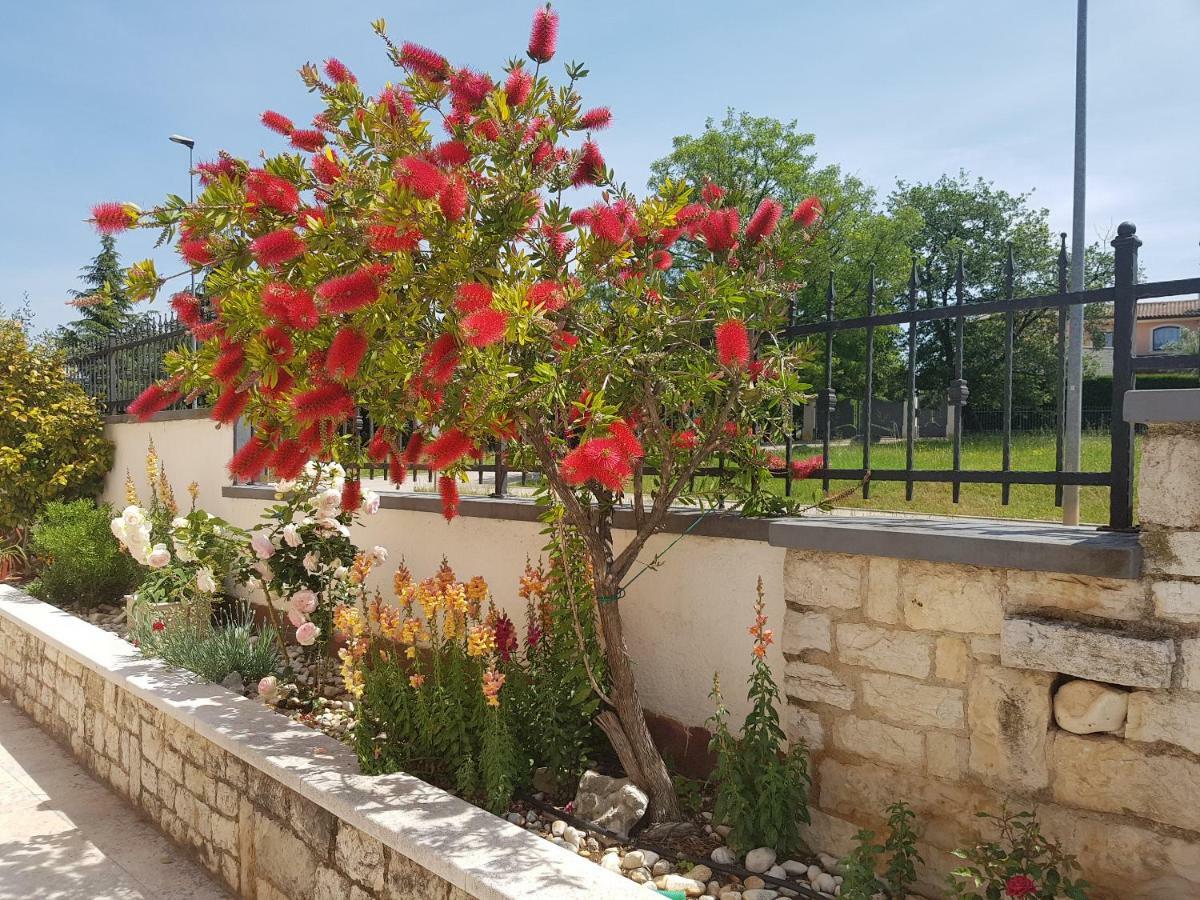 Rooms Siesta Porec Bagian luar foto